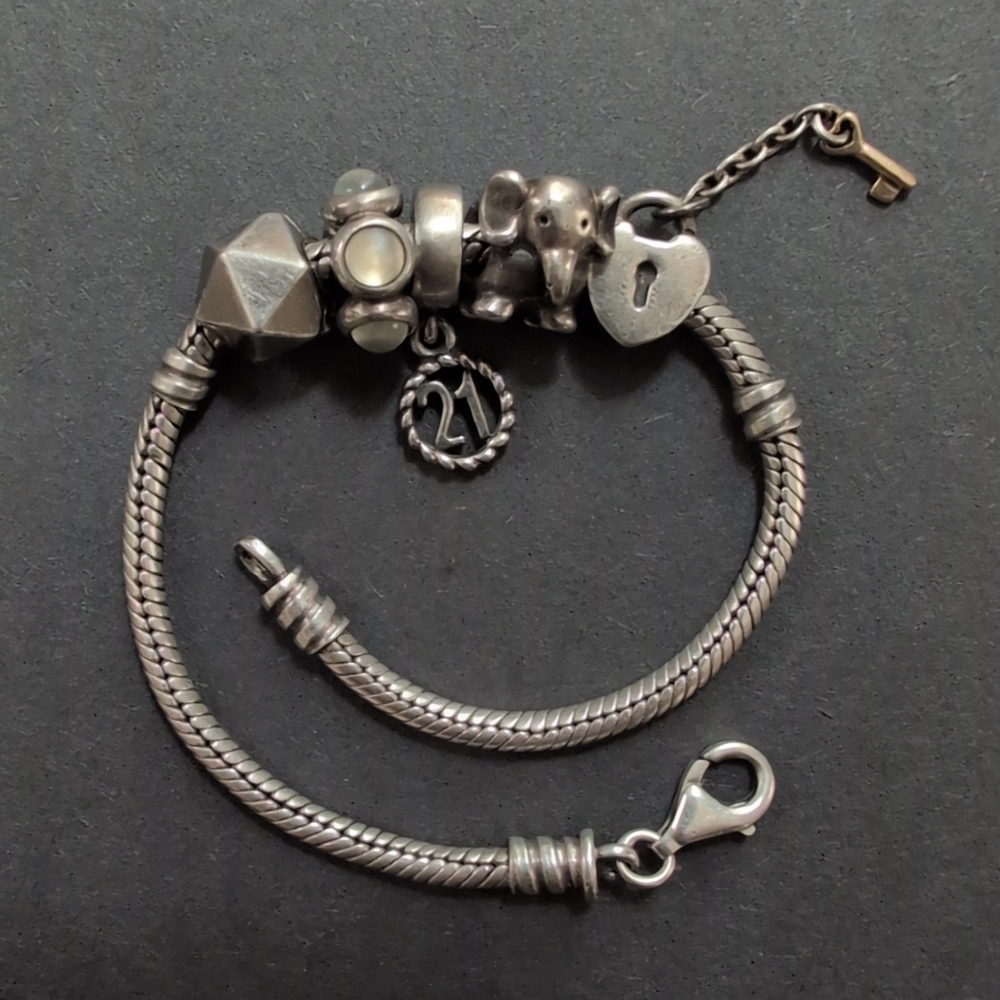 Pandora Bracelet with Charms